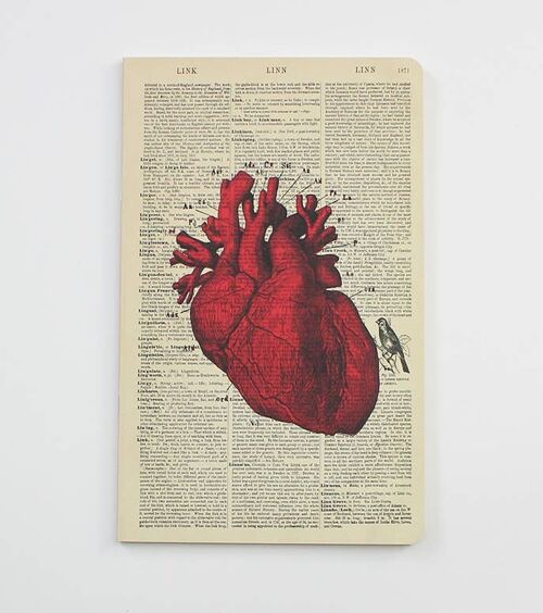 Anatomical Heart Notebook - Notepad - Journal - WAN18301