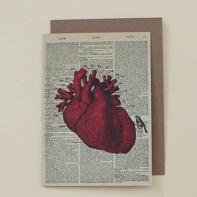 Tarjeta de arte de diccionario de corazón anatómico - WAC20513