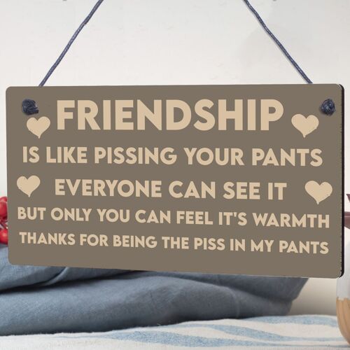 Best Friendship Gift Plaque For Special Friend Gifts For Women Engraved Ornament
