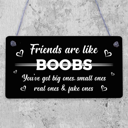 Funny Friends Are Like Boobs Novelty Best Friend Sign Birthday Gifts For Her