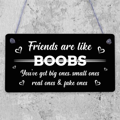 Lustiges „Friends Are Like Boobs“-Schild für die beste Freundin, Geburtstagsgeschenk für Sie