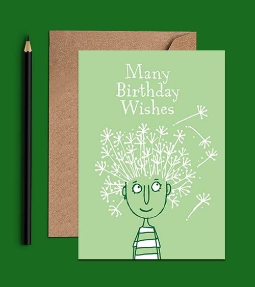 Many Birthday Wishes Birthday Card - WAC18155