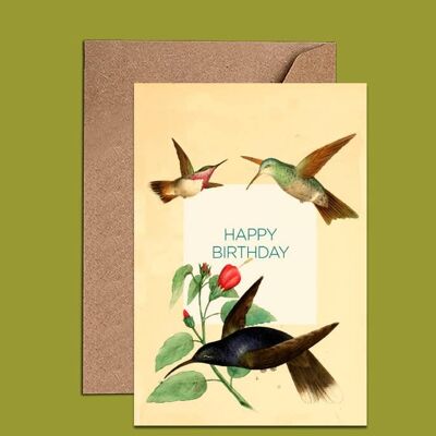 Biglietto di compleanno con colibrì – WAC18139