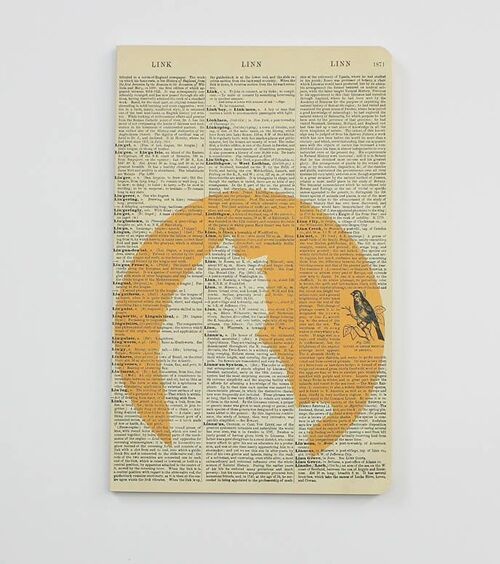 Yellow Cat Notebook - WAN19401