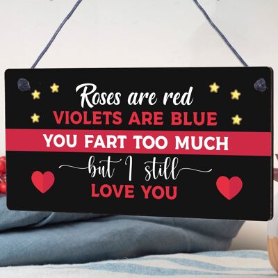 FART TROP BEAUCOUP Plaque d’anniversaire drôle Cadeaux d’anniversaire pour petit ami mari femme