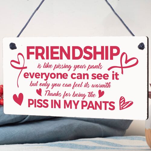 Funny Friendship Gift Best Friend Hanging Sign Novelty Birthday Christmas Gifts