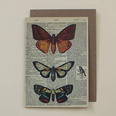 Tarjeta de arte de diccionario de mariposas - WAC20515