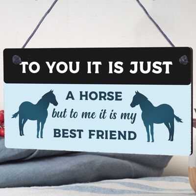 Regalo per gli amanti dei cavalli. Regalo di cavallo con segno del migliore amico per ragazze, donne, regalo di compleanno