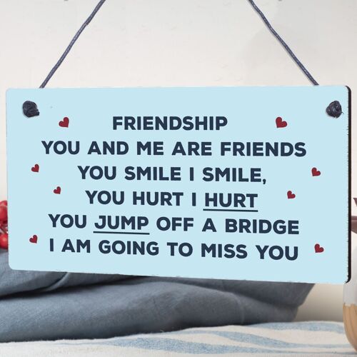 Funny Friendship Sign Hanging FRIEND Plaque Birthday Christmas Gift Thank You