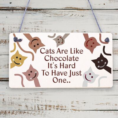 Los gatos son como el chocolate divertido regalo de dieta para mascotas placa colgante de madera signo de amistad