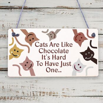 Les chats sont comme du chocolat, cadeau drôle de régime pour animaux de compagnie, Plaque suspendue en bois, signe d'amitié