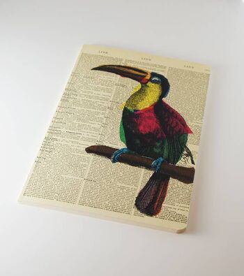 Carnet Toucan - Bloc-notes - Journal - WAN18324 5