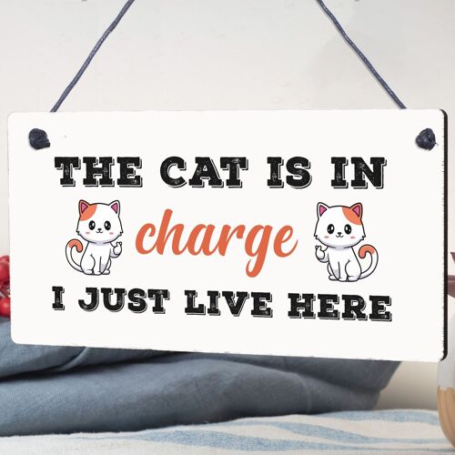 Cat Sign Funny Cat Gift For Cat Lovers Hanging Wood Sign For Home Animal Sign