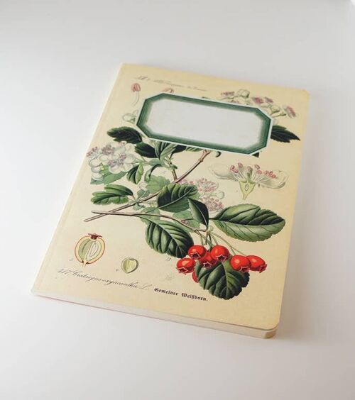 Botanical Notebook - Rosehip - WAN18413