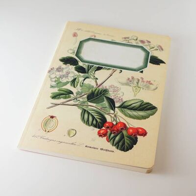 Cuaderno botánico - Rosa mosqueta - WAN18413