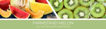 Farmstand Melon Goose Creek Candle® 411 grammes 2