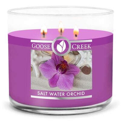 Candela Goose Creek orchidea acqua salata 411 grammi