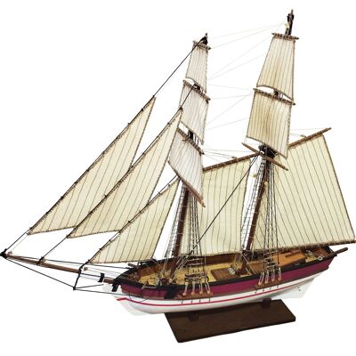 Modelbouw Zeilschip Schip Schoener 'Rose' van hout