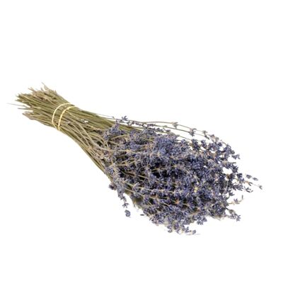 Getrocknete Blumen - Lavendel