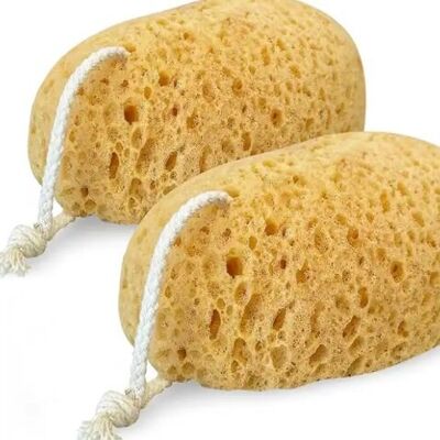 100% Premium Natural Body Sea Sponges