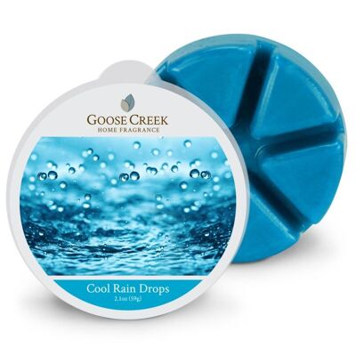 Gotas de lluvia frías Goose Creek Wax Melt