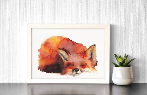 Sleeping Fox - Art Print