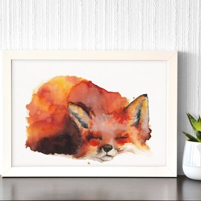 Sleeping Fox - Art Print