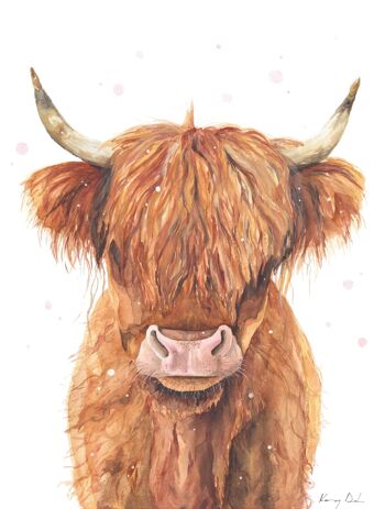 Vache des Highlands - Impression d’art 2