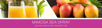 Mimosa Sea Spray Goose Creek Cire fondue 2