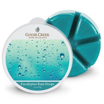 Gotas de lluvia de eucalipto Goose Creek Wax Melt