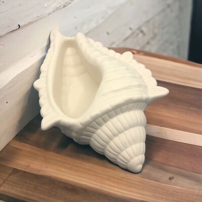 Handmade Jesmonite Conch Shell Dish - White
