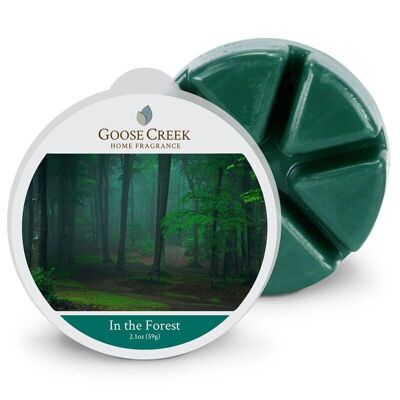 In the Forest Goose Creek Candle  Wax Melt