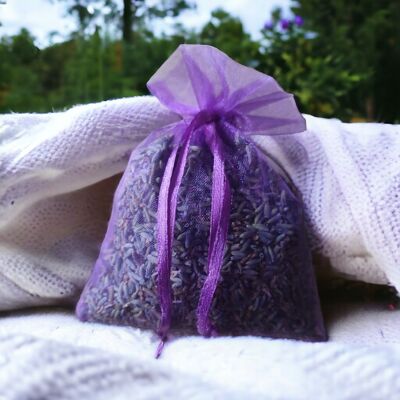 organza di lavanda