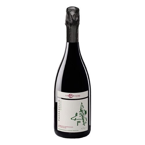 Lambrusco Grasparossa di Castelvetro DOP Biologico "Passanello BIO"