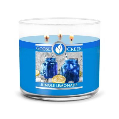 Vela perfumada de 3 mechas con mezcla de soja de Goose Creek Candle® Jungle Lemonade