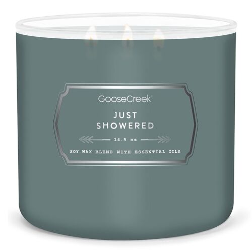 Just Showered Goose Creek Candle® Men's Collection 411 grams