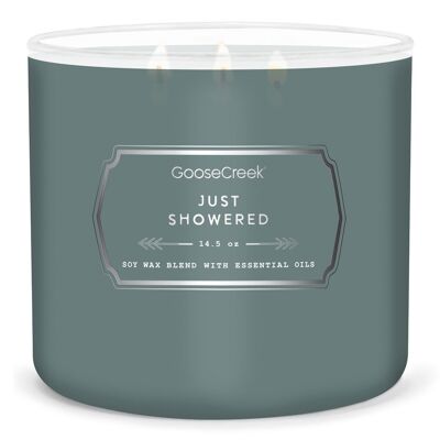 Just Showered Goose Creek Candle® Colección para hombres 411 gramos
