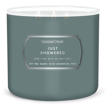 Just Showered Goose Creek Candle® Collection Homme 411 grammes 1
