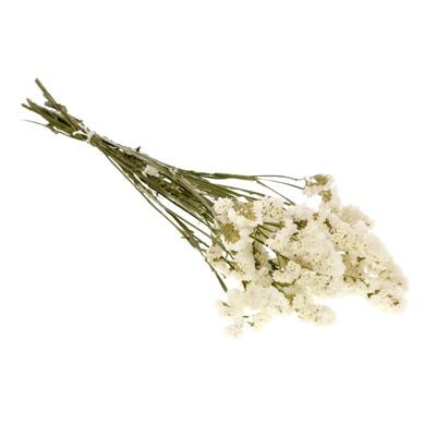 Dried Flowers - Statice