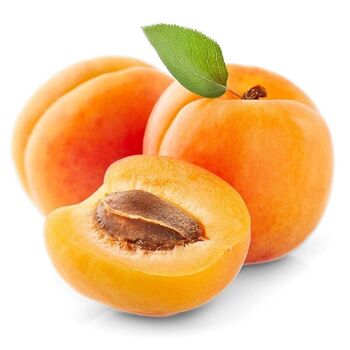 Confiture - Abricot Intense - 110 g 2