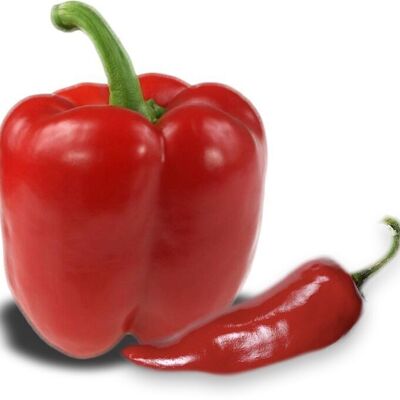 Marmellata - Pepe Peperoncino di Espelette - 110 g