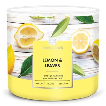 Citron et feuilles Goose Creek Candle® 411 grammes 1