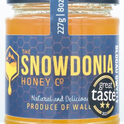Miel de fleurs sauvages gallois Snowdonia 227g | Gagnant du prix du bon goût