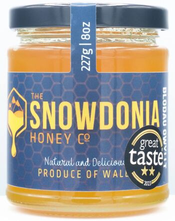 Miel de fleurs sauvages gallois Snowdonia 227g | Gagnant du prix du bon goût 1