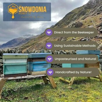 Miel de fleurs sauvages gallois Snowdonia 227g | Gagnant du prix du bon goût 6