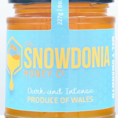Snowdonia Spring Wildflower Welsh Honey 227g