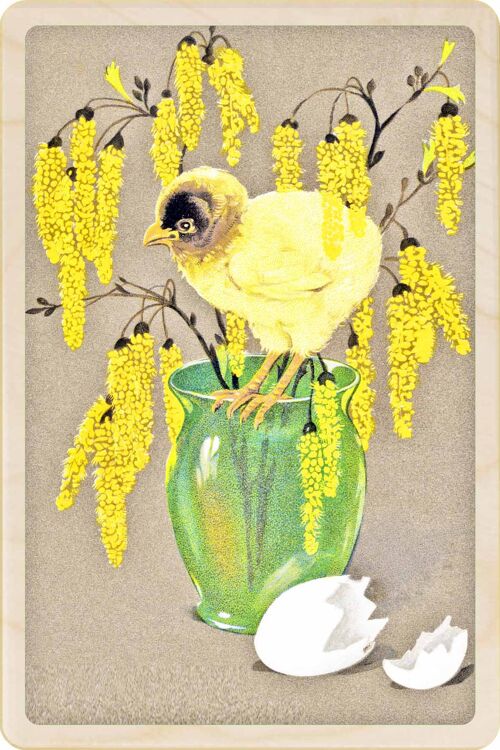 Wooden Postcard MIMOSA CHICK Easter Card