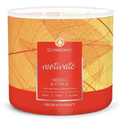 Neroli & Citrus Goose Creek Candle® Aromatherapy 3 wick 411 grams