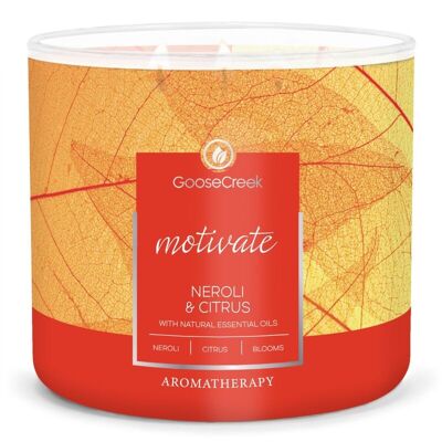 Neroli & Citrus Goose Creek Candle® Aromaterapia 3 stoppini 411 grammi