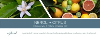 Néroli et Citrus Goose Creek Candle® Aromathérapie 3 mèches 411 grammes 2